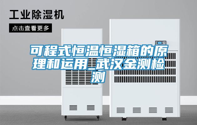 可程式恒温恒湿箱的原理和运用_武汉金测检测