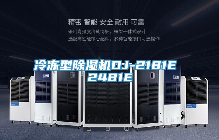 冷冻型除湿机DJ-2181E 2481E