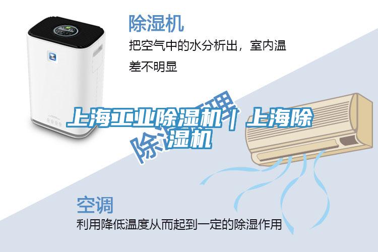 上海工业除湿机｜上海除湿机