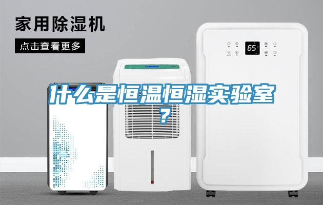 什么是恒温恒湿实验室？