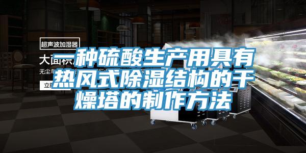 一种硫酸生产用具有热风式除湿结构的干燥塔的制作方法