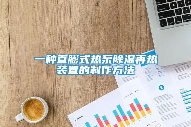一种直膨式热泵除湿再热装置的制作方法