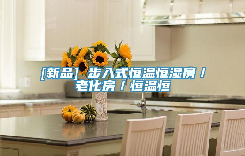 [新品] 步入式恒温恒湿房／老化房／恒温恒