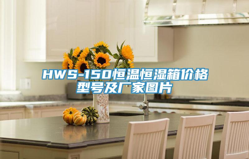 HWS-150恒温恒湿箱价格型号及厂家图片