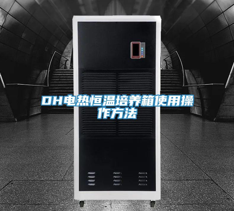 DH电热恒温培养箱使用操作方法