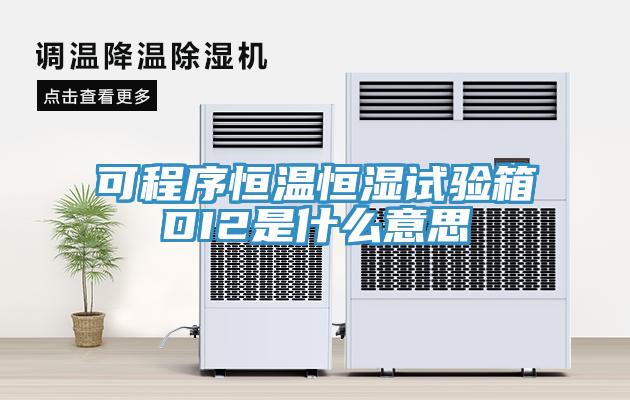 可程序恒温恒湿试验箱DI2是什么意思
