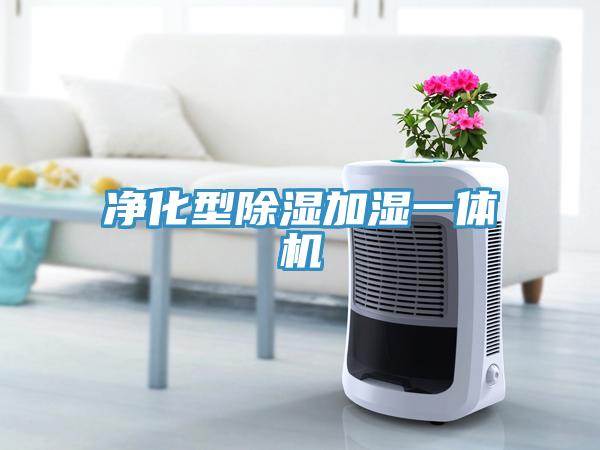 净化型除湿加湿一体机