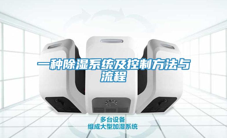一种除湿系统及控制方法与流程
