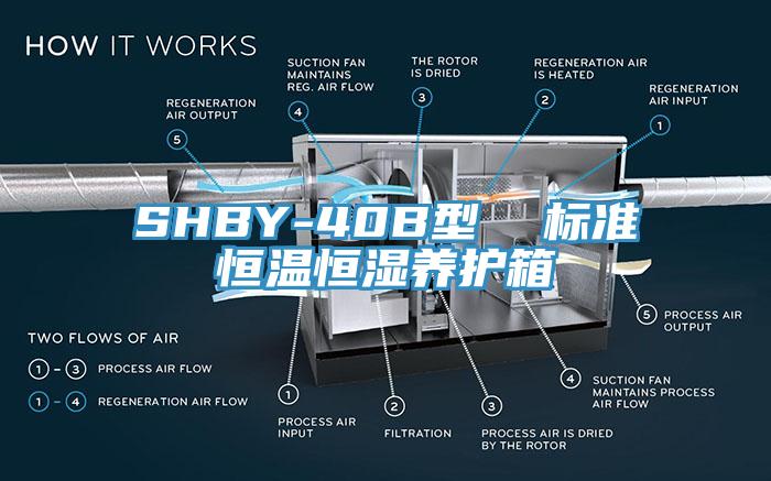 SHBY-40B型  标准恒温恒湿养护箱