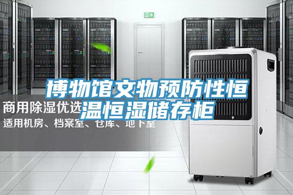 博物馆文物预防性恒温恒湿储存柜