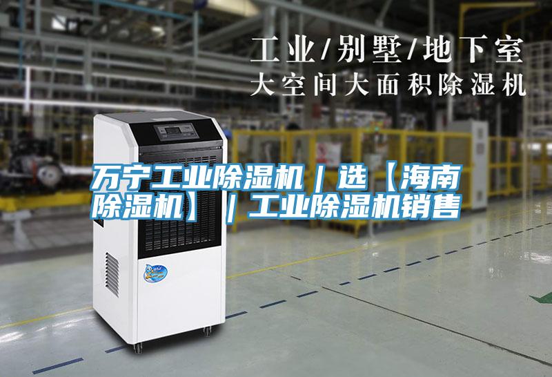 万宁工业除湿机｜选【海南除湿机】｜工业除湿机销售