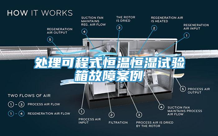 处理可程式恒温恒湿试验箱故障案例