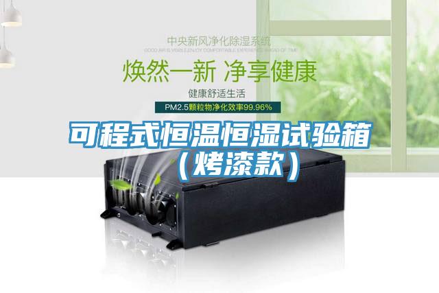 可程式恒温恒湿试验箱（烤漆款）