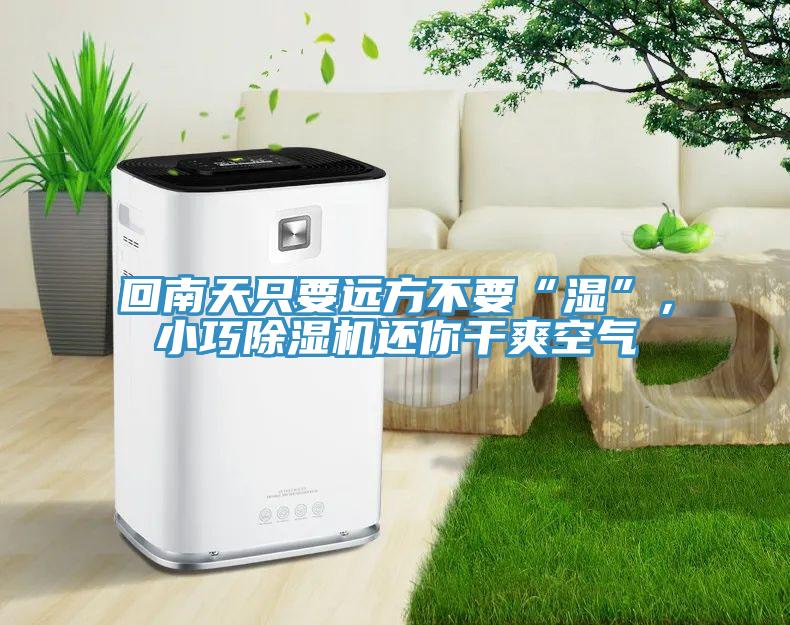 回南天只要远方不要“湿”，小巧除湿机还你干爽空气