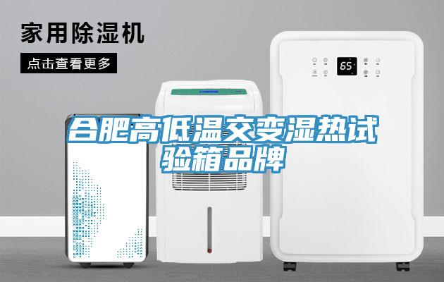 合肥高低温交变湿热试验箱品牌