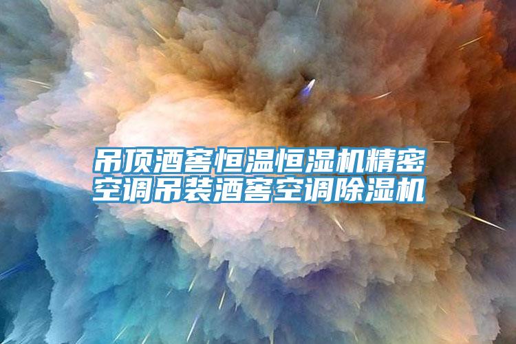吊顶酒窖恒温恒湿机精密空调吊装酒窖空调除湿机