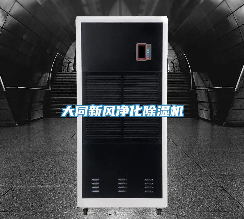 大同新风净化除湿机