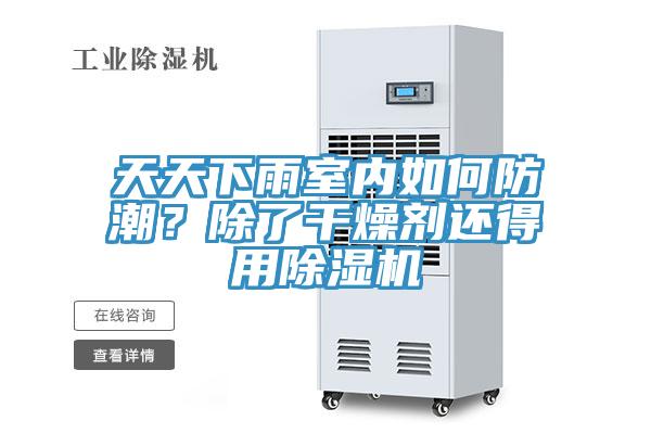 天天下雨室内如何防潮？除了干燥剂还得用除湿机