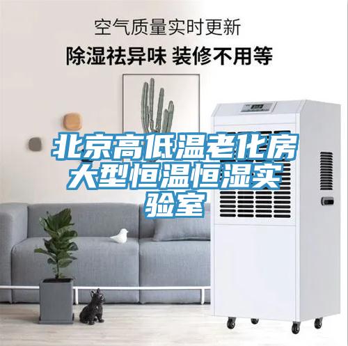 北京高低温老化房大型恒温恒湿实验室