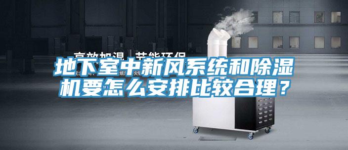 地下室中新风系统和除湿机要怎么安排比较合理？