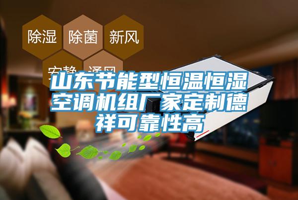 山东节能型恒温恒湿空调机组厂家定制德祥可靠性高