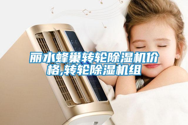 丽水蜂巢转轮除湿机价格,转轮除湿机组