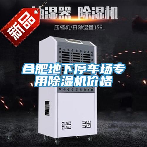 合肥地下停车场专用除湿机价格
