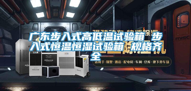 广东步入式高低温试验箱 步入式恒温恒湿试验箱 规格齐全