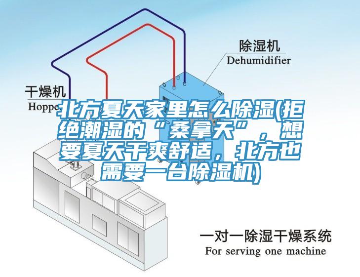 北方夏天家里怎么除湿(拒绝潮湿的“桑拿天”，想要夏天干爽舒适，北方也需要一台除湿机)