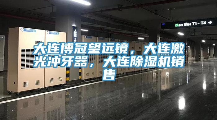 大连博冠望远镜，大连激光冲牙器，大连除湿机销售