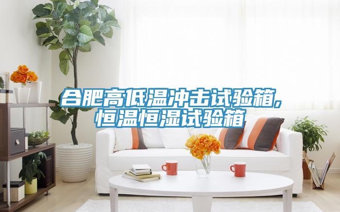 合肥高低温冲击试验箱,恒温恒湿试验箱