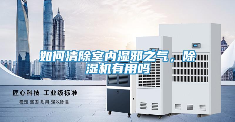如何清除室内湿邪之气，除湿机有用吗