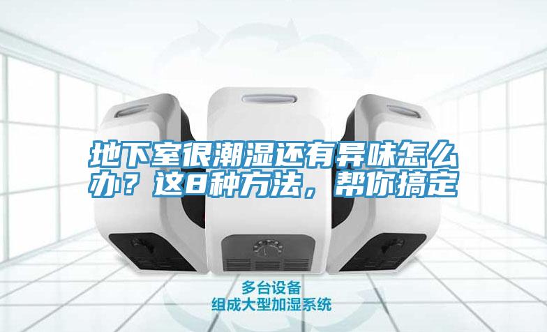 地下室很潮湿还有异味怎么办？这8种方法，帮你搞定