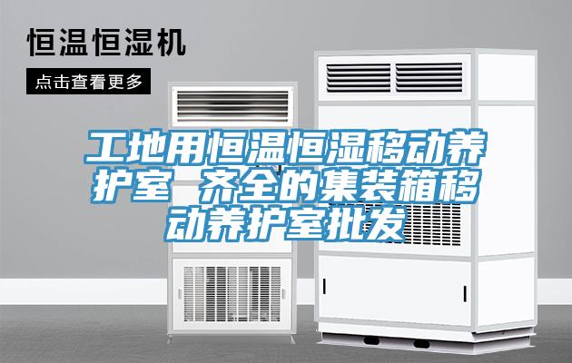 工地用恒温恒湿移动养护室 齐全的集装箱移动养护室批发