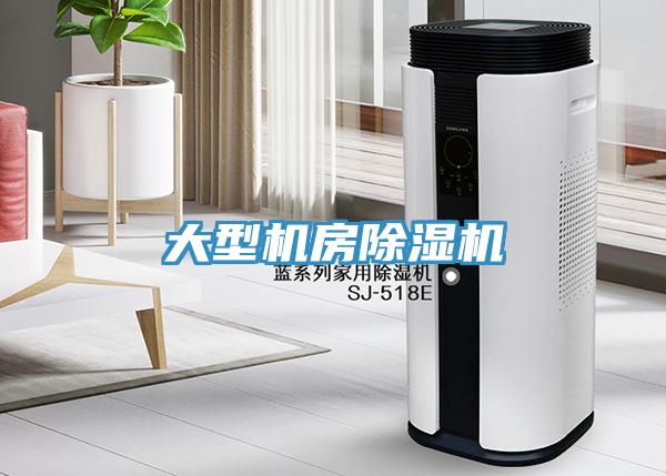 大型机房除湿机