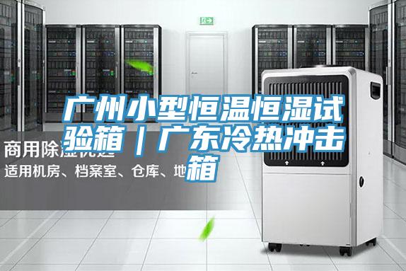 广州小型恒温恒湿试验箱｜广东冷热冲击箱
