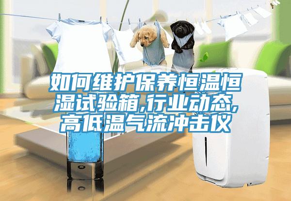 如何维护保养恒温恒湿试验箱,行业动态,高低温气流冲击仪