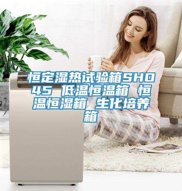 恒定湿热试验箱SHO45 低温恒温箱 恒温恒湿箱 生化培养箱