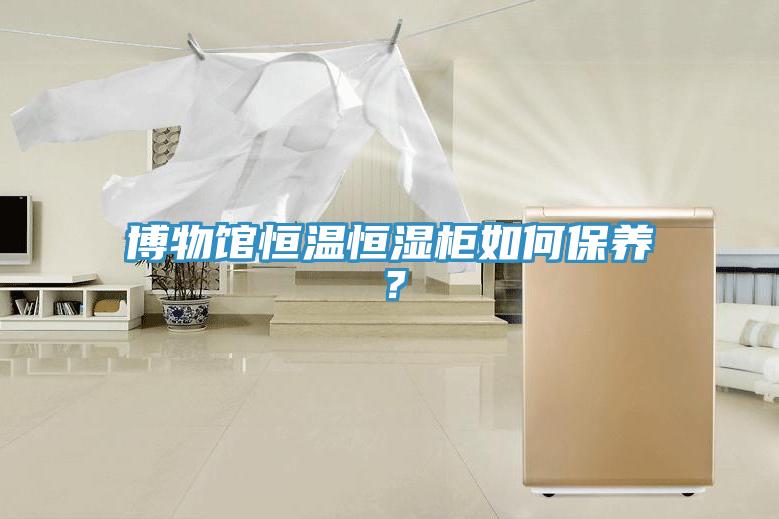 博物馆恒温恒湿柜如何保养？