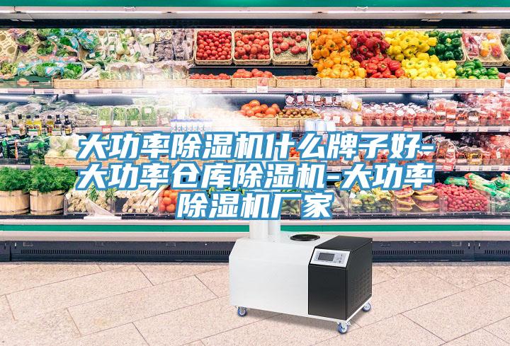 大功率除湿机什么牌子好-大功率仓库除湿机-大功率除湿机厂家