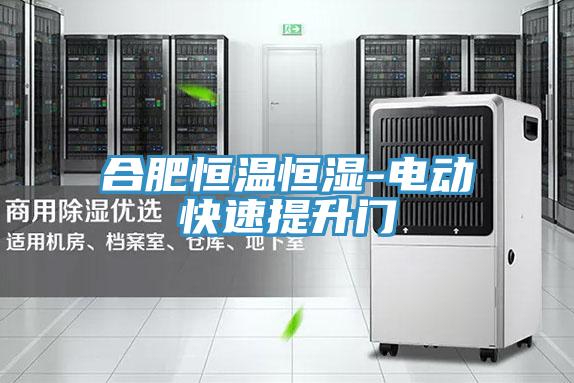 合肥恒温恒湿-电动快速提升门