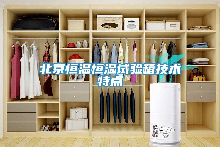 北京恒温恒湿试验箱技术特点