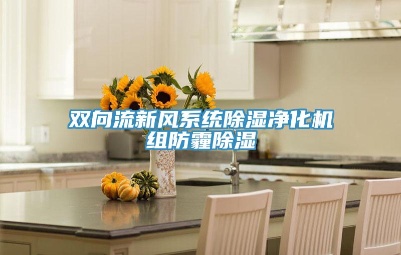双向流新风系统除湿净化机组防霾除湿