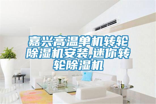 嘉兴高温单机转轮除湿机安装,迷你转轮除湿机