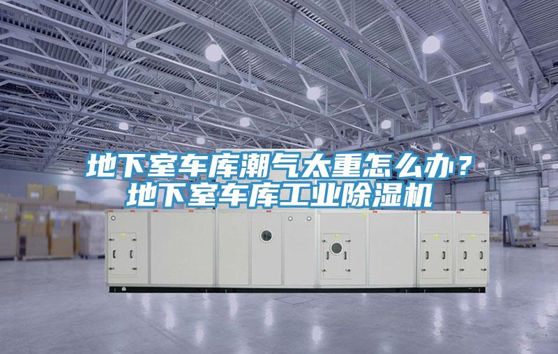地下室车库潮气太重怎么办？地下室车库工业除湿机