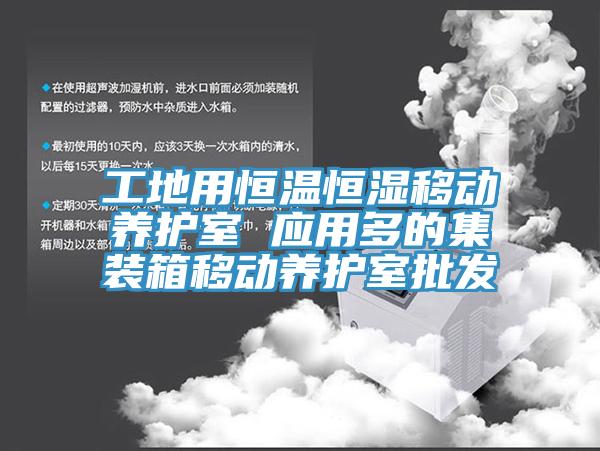 工地用恒温恒湿移动养护室 应用多的集装箱移动养护室批发