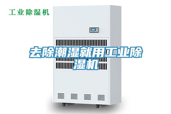 去除潮湿就用工业除湿机