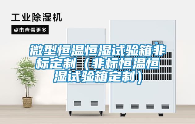 微型恒温恒湿试验箱非标定制（非标恒温恒湿试验箱定制）