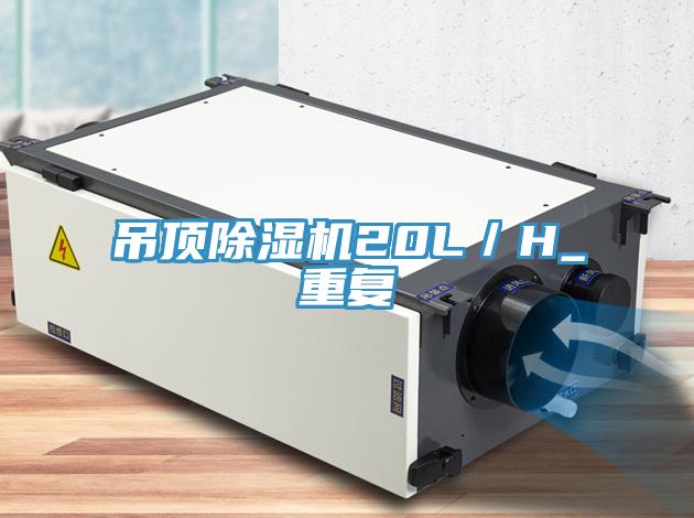 吊顶除湿机20L／H_重复