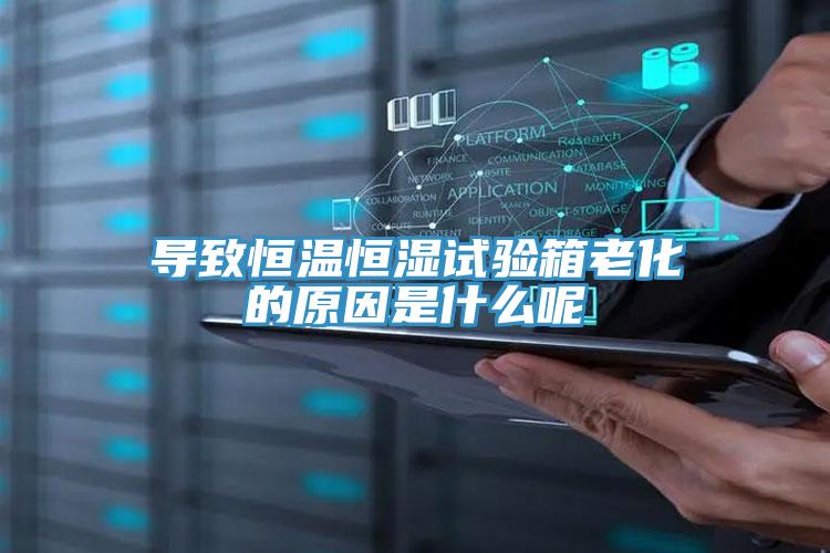 导致恒温恒湿试验箱老化的原因是什么呢